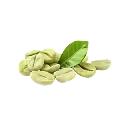 Green Coffee Bean Extract