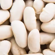 White Kidney Bean Extract